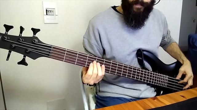 Muse - Muscle museum (Bass cover - new version) смотреть онлайн