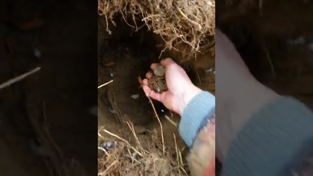 Настоящий клад рублей - 50 штук. смотреть онлайн