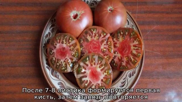 Томат Микадо смотреть онлайн