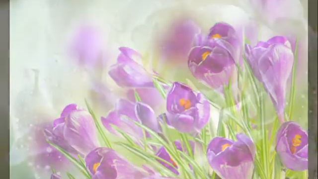 Кристина!!! С днем рождения! смотреть онлайн