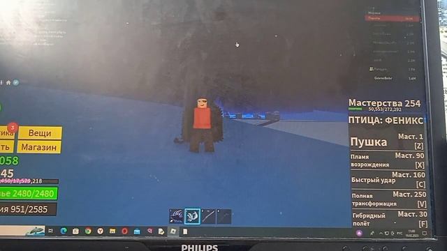 [БФ]Обзор Феникс ??//Roblox Blox Fruits//
