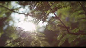 Вьюн над водой. Русская-народная песня