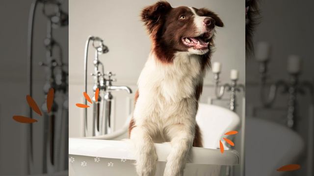 CHEGOU A SUA HORA! VIRE A CHAVE DA SUA VIDA смотреть онлайн