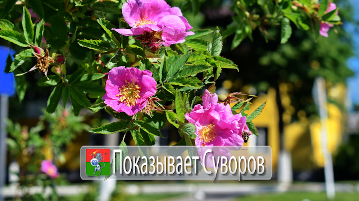 Показывает Суворов 8 июня 2024