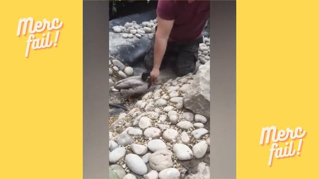 Fail Compilation! Смешные моменты!!! смотреть онлайн