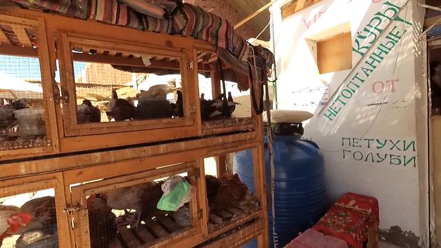 Места для отдыха с детьми? Куда можно полететь? Где отдохнуть сейчас? смотреть онлайн