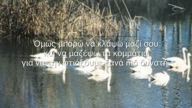 ΠΟΙΗΜΑ ΖΩΗΣ (ΤΗΝ ΜΕΡΑ ΠΟΥ ΣΕ ΓΝΩΡΙΣΑ).wmv смотреть онлайн
