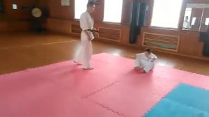 приемы каратэ для начинюющих