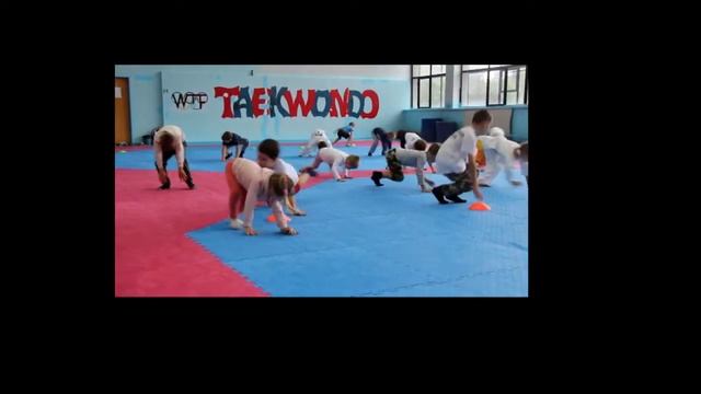 taekwondo minsk смотреть онлайн