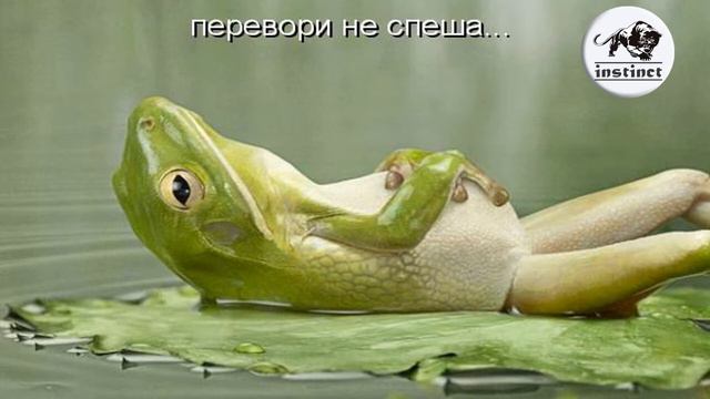 Позитивная музыка для настроения | Музыка позитив от Инстинкт 2020 №62 смотреть онлайн