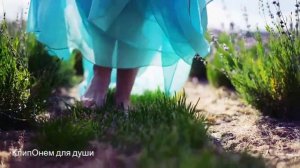 Обалденно Красивая Песня !!! Мой цветок Вадим Ягала