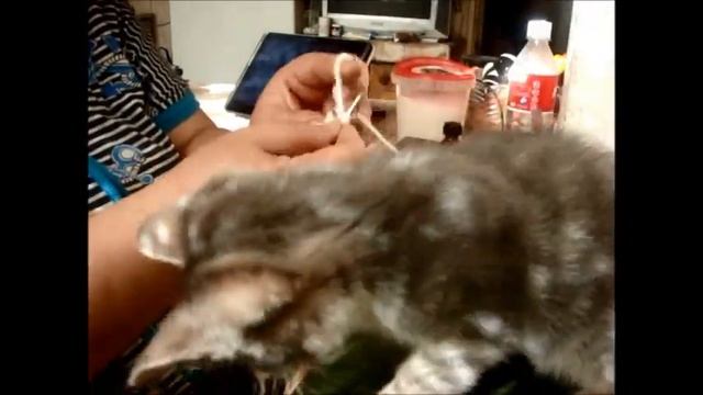 Кузя помогает мне вязать смотреть онлайн