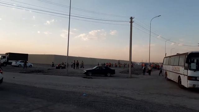 Зангиота короновирус смотреть онлайн