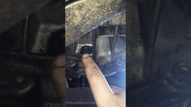 Ford Galaxy Замена масла в мкпп смотреть онлайн