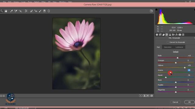 Photoshop Tutorial| How to edit flower Photo | Photoshop CC 2017 смотреть онлайн