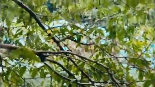 Truely & Real China(Wuxi a beautiful place in china near Shanghai) смотреть онлайн