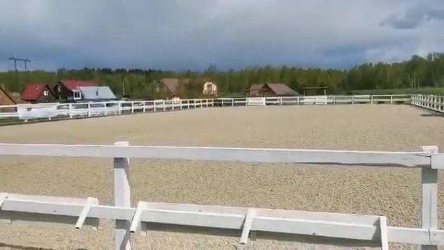 В гостях у друзей КСК НАСТАСЬИНО смотреть онлайн