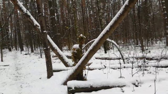 Незваные гости. Как этого избежать? Сильнейший отворот от непрошенных гостей. смотреть онлайн