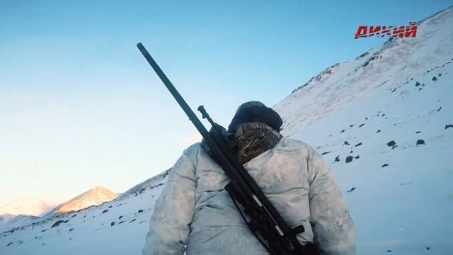 Путь к трофею. На Памир за аргали Марко Поло и бухарским уриалом смотреть онлайн