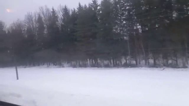 Дизель-поезд №6566 Могилёв - Орша. смотреть онлайн