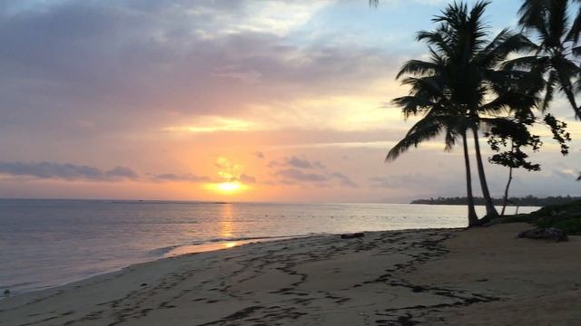 Travel.Dominicana.Samana.Wonderful Las Terrenas. Top beach! смотреть онлайн