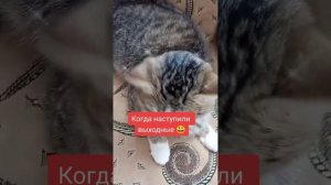 Узнали себя? 😆
⠀
#выходные #март2024 #AlinaKlyukva #юмор  #кареглазаяблондинка