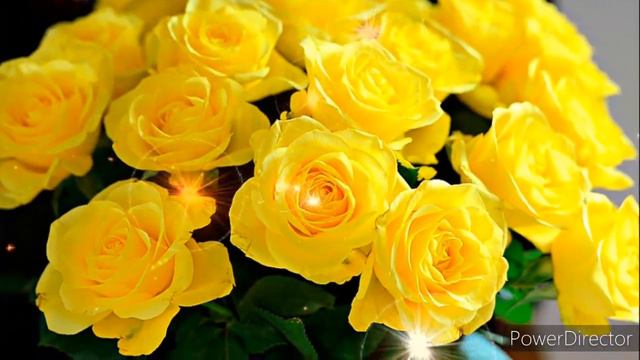 Просто хорошего всем настроения! смотреть онлайн