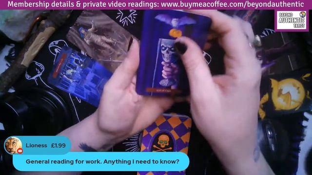 LIVE TAROT READINGS | HALLOWEEN SPECIAL GIVEAWAY | SAMHAIN SESSION смотреть онлайн