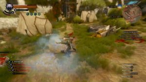 Witcher 3 frost aard build Билд морозный аард