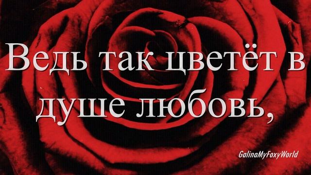 ТВОЕЮ НЕЖНОЮ РУКОЙ смотреть онлайн