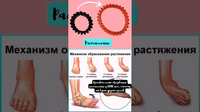 ЧЛХирург отвечает. Биомеханика движения нижней челюсти. Часть 3. смотреть онлайн