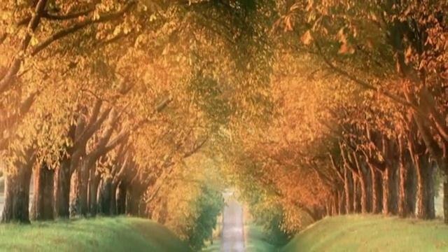 Осень.Бабье лето. смотреть онлайн