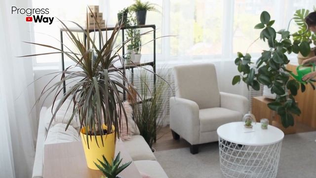 Желтеют Листья У Герани / Пеларгонии смотреть онлайн