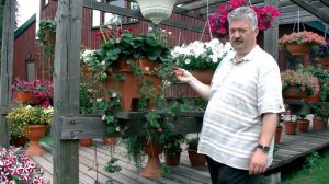 Ампельная гибридная Земляника Тоскана от Биотехники