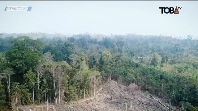 Suku ini menikah sedarah | TOP FIVE SUKU TERLUAR DI INDONESIA смотреть онлайн