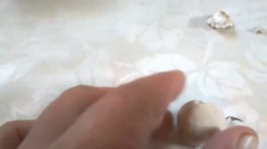 Посадка бойла на крючок стопорки для бойла из паралона  и пенопласта самодельные стопорки.