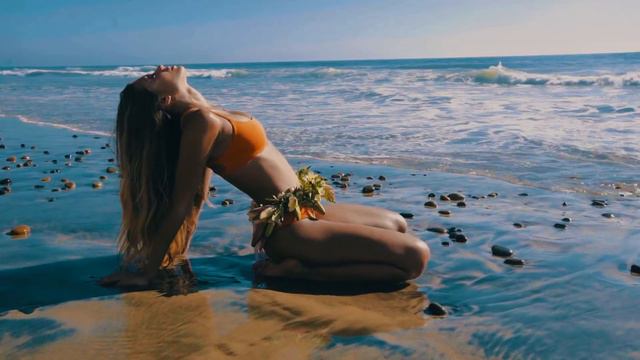 Schiller Feat. Heppner* – Dream Of You