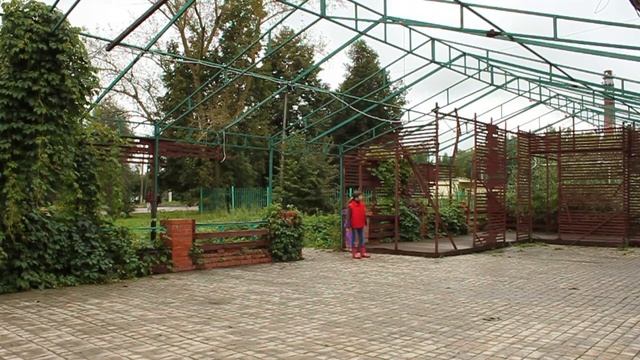 Венев 2013 .... видеозарисовки смотреть онлайн