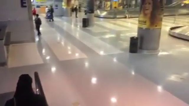 Terminal 8 Arrival, JFK International Airport смотреть онлайн