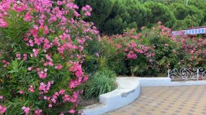 Алушта обзор пляжей: Профессорский уголок, центральный пляж и Восточная набережная.