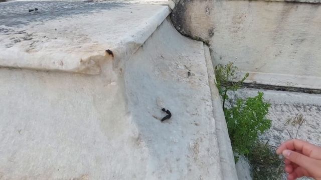 История Пи в ТЕРМАХ античной Афродисиады: раскопки и шедевры смотреть онлайн