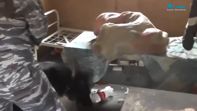 сибосибо вам нужно будет хорошо на работу мигрантам смотреть онлайн