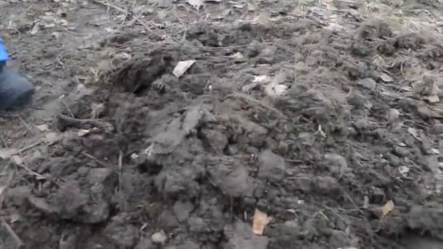 Зимний коп червяков в Сыктывкаре смотреть онлайн