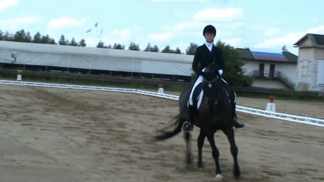 Выездка Костромской области. смотреть онлайн