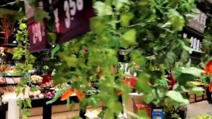 СУПЕРМАРКЕТ В КИТАЕ. ТЦ АНАНАС В ДАДУНХАЕ ХАЙНАНЬ