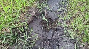 Как почистить дно выгребной ямы не вручную 2 (результат)