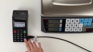 Подключение весов АТОЛ MARTA к ньюджерам