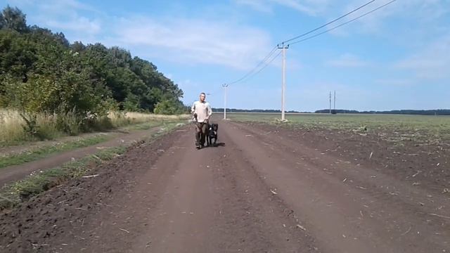 АЛАБАЙ г.Уфа (Казан Йолдыз ГАЯНЭ) смотреть онлайн