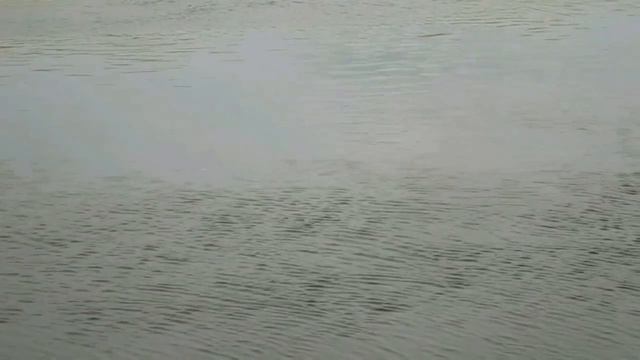 Болен Рыбалкой №242 - Осенний окунь смотреть онлайн