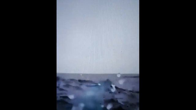 ПЕСНИ КИТОВ смотреть онлайн